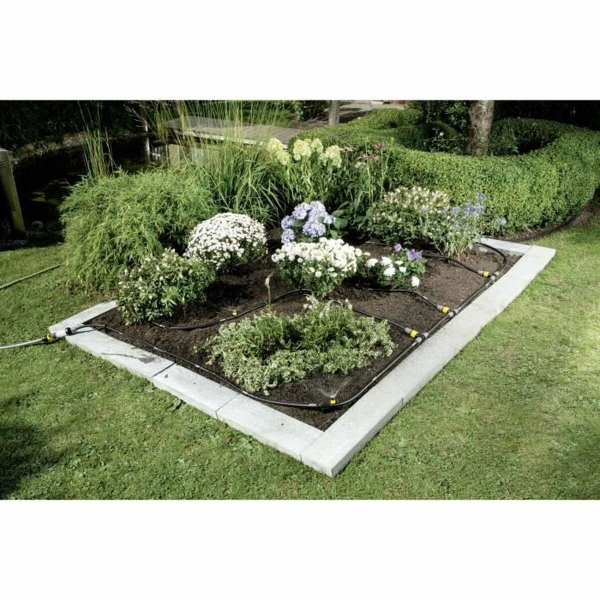 V3H006F2619A9A1AAF6614235A1F2D80AEFR5350006P2